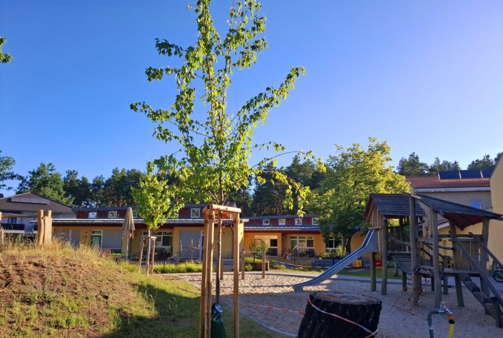 Baumspende